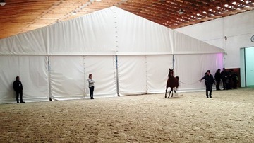 Producent ujeżdzalni dla koni 25x50x5m EWENTA
