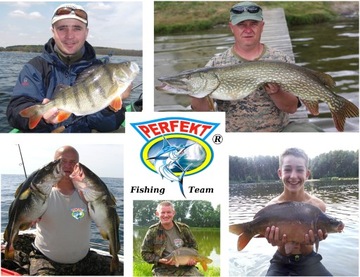 10 X Haczyk Kuty VMC 7054 BN № 6 Червяк