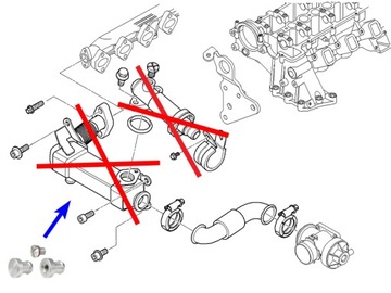 Комплект для снятия охладителя EGR BMW M47N2 M57N2