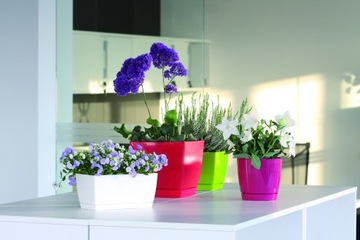 фото ориг. №4, Flowerpot prosperplast 28 centimeters x 28 x 26, 2 centimeters diameter 28 centimeters plastic white