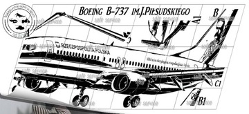 Наклейка на правительственный самолет Боинг-737 151х54см №40