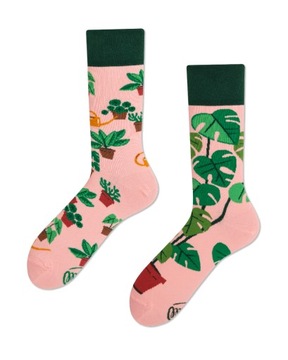 Kolorowe Skarpety MANY MORNINGS Plant Lover 35-38