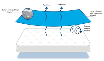 Матрас с антиклещевым покрытием для аллергиков 80х200х20 EVOLON ALERGIKA
