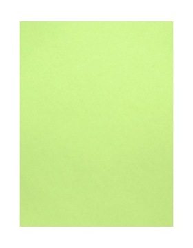 Filc dekoracyjny 2mm 30x40 cm NEON ZIELONY (54)