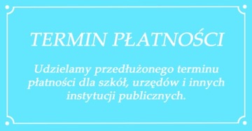 TENZI Środek Pleśniobójczy usuwa pleśń grzyb 600ml