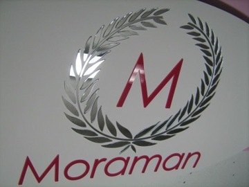 LITERY Z PLEXI CYFRY Z PLEKSI 15 cm KOLOR LOGO 3D