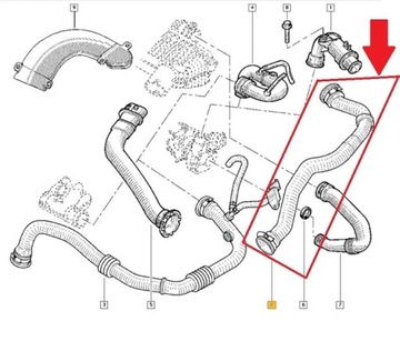 ШЛАНГ ТУРБО ИНТЕРКУЛЕРА RENAULT KANGOO 1.5 DCI