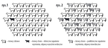 Прибор для исследования молока из сосков коров.