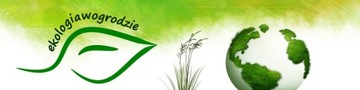 Палочки для чистки канализации ферментные, цитрусовые, 12 шт, Экозона