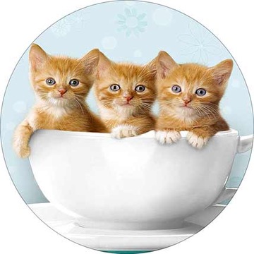 ВОЛНЫ для торта КОТЫ, диаметр 20 см, плотные, насыщенные цвета.