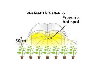 GROWBOX 120X120X200 КОМПЛЕКТ ДЛЯ ВЫРАЩИВАНИЯ КРЫЛЬЕВ HPS-400W