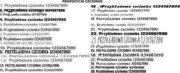 ФУТБОЛКА С СОБСТВЕННЫМ ПРИНТОМ И ЛОГОТИПОМ. РАЗМЕР. XXL