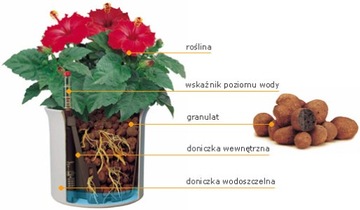 фото ориг. №5, Hydroponics installations without winters liner 28/ 19 basket (bracket)