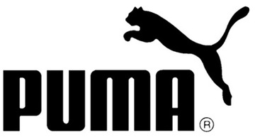 Поясная и набедренная сумка PUMA PRACTICAL.