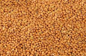 PROSO ŻÓŁTE 1 kg karma do ptaków papug kanarków