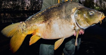 PRASA PRASKA DO KUL ZANĘTOWYCH MISTRALL ŚREDNIA L