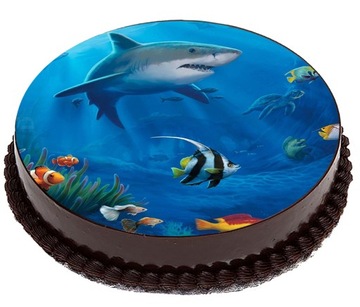 OPŁATEK NA TORT Rekiny Delfiny Rekin Delfin 20cm