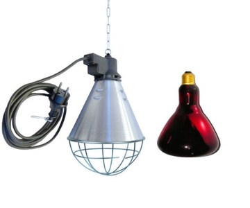 Lampa grzewcza dla szczeniąt nad kojec Rasy duże
