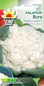 KALAFIOR BORA BRASSICA OLERACEA 1 GRAM NASION