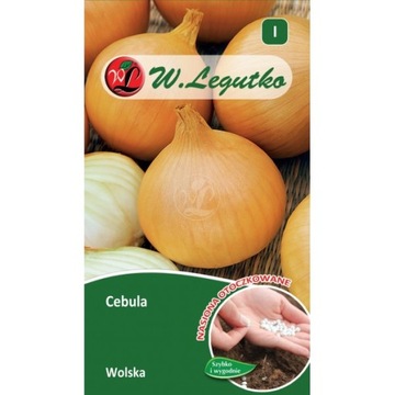 CEBULA WOLSKA OTOCZKI 200 NASION JAK TAŚMA PÓŹNA PLENNA
