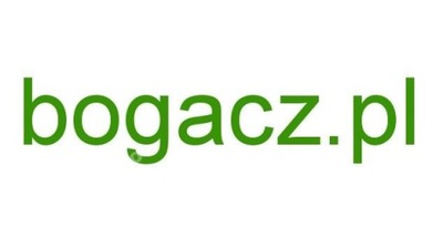 domena - bogacz.pl