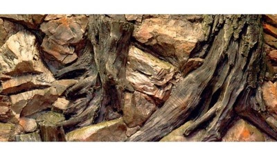 DIVERSA Tło strukturalne Korzeń 120x50 cm