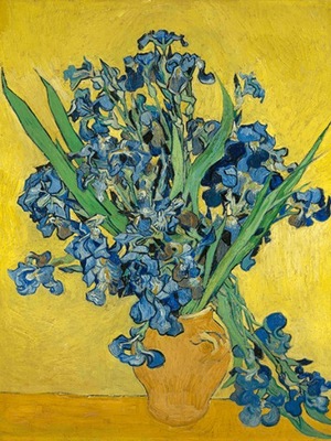 Obraz Irises - Vincent van Gogh 40x30