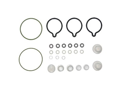 BOSCH F01M101454 ASSORTIMENT DE GARNITURE DE POMPE POMPE À CARBURANT À HAUTE PRESSION - milautoparts-fr.ukrlive.com