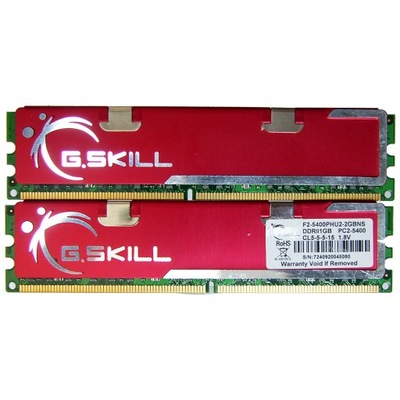 DDR2 DUAL 2GB (2X1) 667 PC 5300 G.SKILL 100% RrL