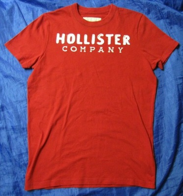 HOLLISTER CO HCo. SURFING T SHIRT Abercrombie S/M