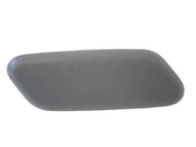 Заглушка розпилювача лампи do renault laguna mk3 фото №1