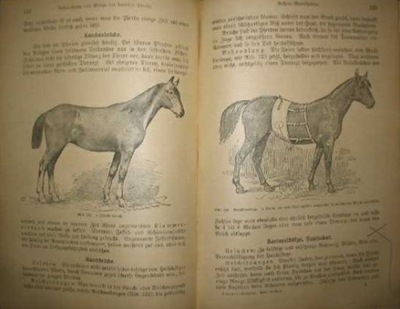 Książka chorych zdrowych zwierząt domowych konie