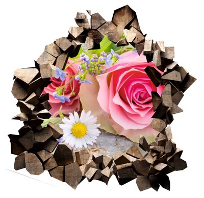 Naklejka Tapeta samoprzylepna kwiaty kamień dziura