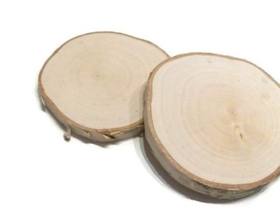 Drewniane Plastry drewna Brzoza szlifowane 6-8cm