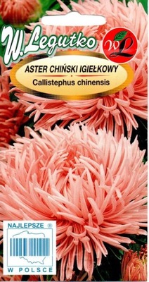 ASTER IGIEŁKOWY WYSOKI ŁOSOSIOWY 'L