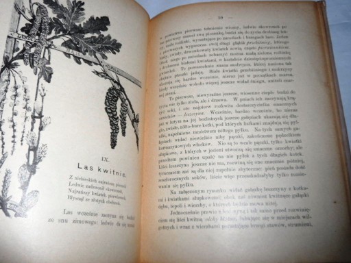 Наш лес и его обитатели Дьяковский Уникат 1898г.