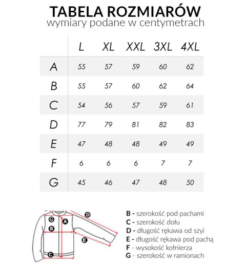 Мужская ветровка Transitional 1919 L черная