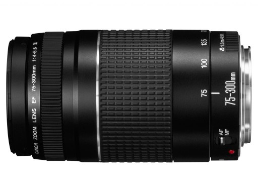 Canon 70–300 мм f/4,0–5,6 EF IS II USM ZOOM 4,3x
