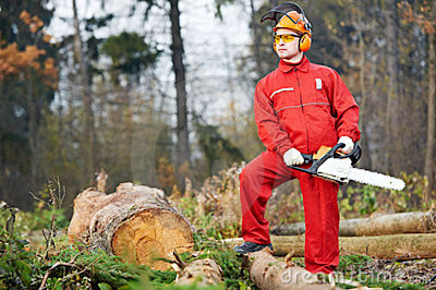 ПИЛЬНАЯ ЦЕПЬ STIHL 14 50 3,8 1,3 мм MASTIFF