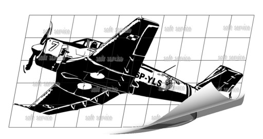 Naklejka mini samolot TS-8 BIES 55x25 cm nr.19a