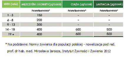 Foilic Acid 600 MGC Methylo folian wiels 100 шт.