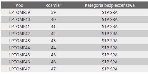 МУЖСКИЕ ЗАМШЕВЫЕ РАБОЧИЕ ОБУВИ LAHTI PRO LPTOMF 42