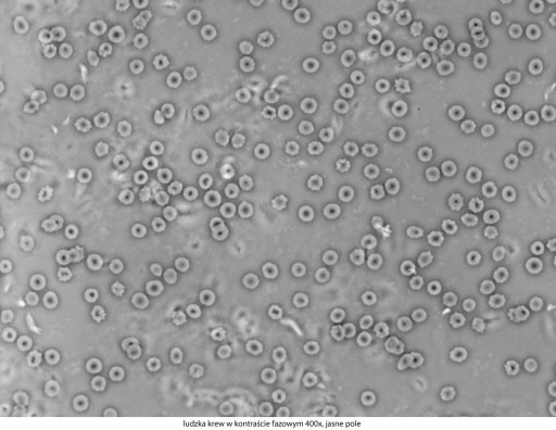Микроскоп Delta Optical Genetic Pro Mono