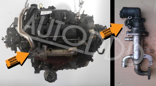 7 Заглушка EGR PEUGEOT CITROEN FORD 2.0 HDI TDCi