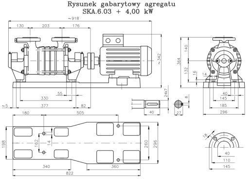 Трехступенчатый гидрофорный насос SKA 6.03 EZ1 H-V