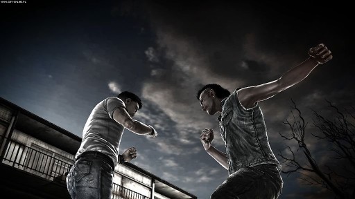 THE FIGHT PS3 PL