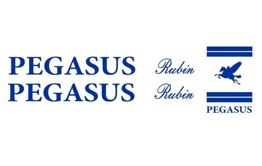 Запасная наклейка PEGASUS RUBIN на велосипед