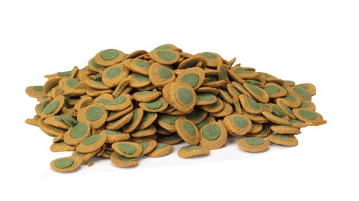 TETRA PLECO SPIRULINA WAFERS 360ml/175g ZBROJNIK