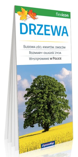 DRZEWA FLEXICON LAMINOWANE PUBLIKACJE TEMATYCZNE