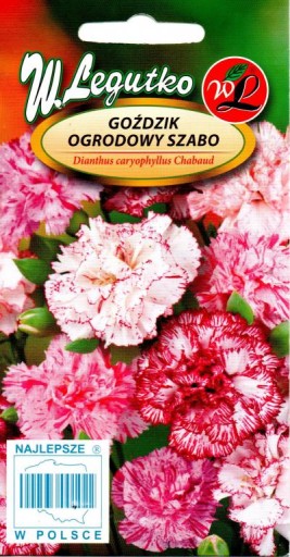 GOŹDZIK OGRODOWY SZABO 0,2 g MIESZANKA PSTRA 'LEGUTKO